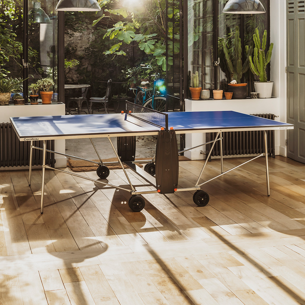 Indoor ping-pong table in a living room